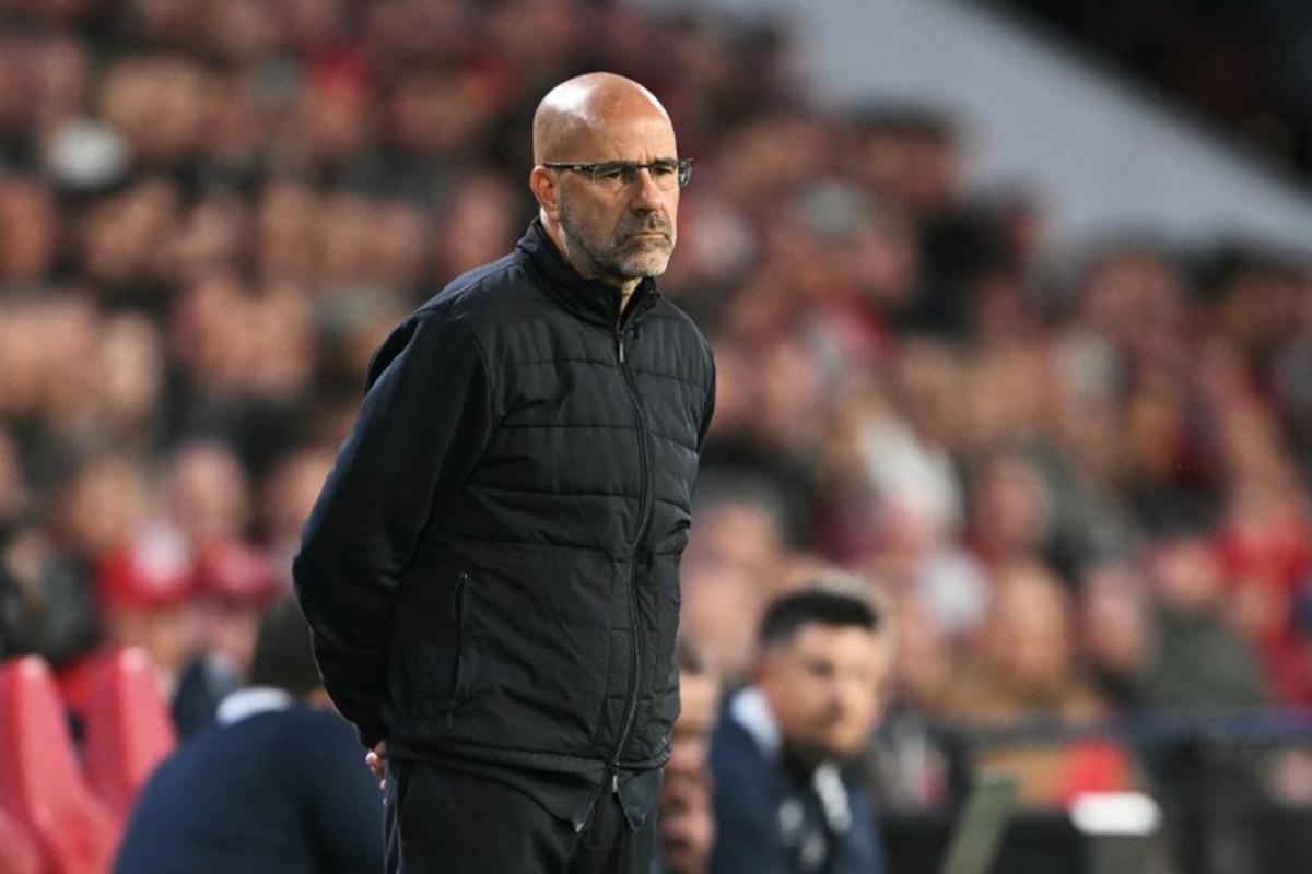 PSV Eindhoven's Dutch coach Peter Bosz looks on during the UEFA Champions League first round day 1 football match between PSV Eindhoven and Union Saint-Gilloise at the Philips Stadium, in Eindhoven on September 16, 2025.   NICOLAS TUCAT / AFP