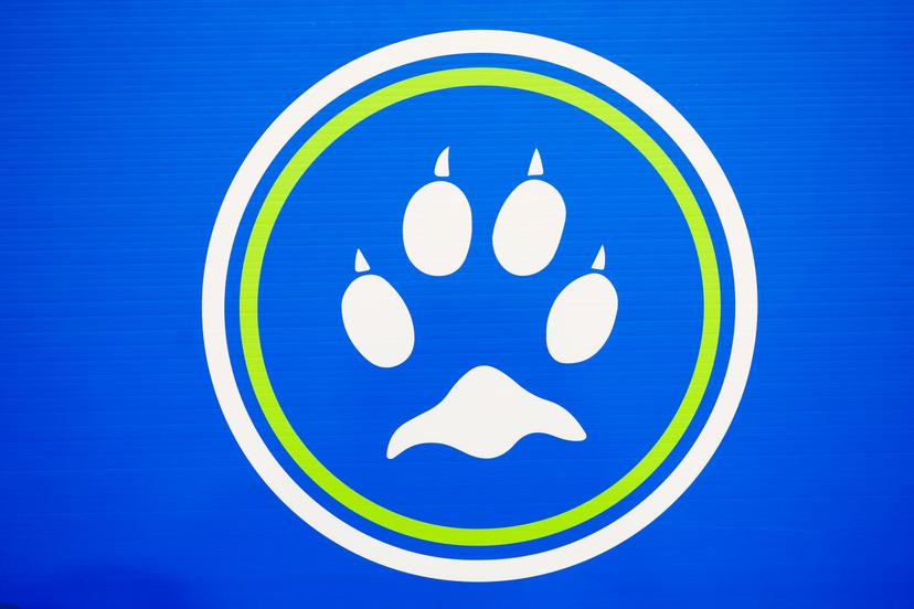 Illustration picture shows UMH logo during a basketball match between Mons-Hainaut and Spirou Charleroi, Wednesday 06 May 2026 in Mons, on day 33/34 of the 'BNXT League' Belgian/Dutch first division basketball championships. BELGA PHOTO VIRGINIE LEFOUR