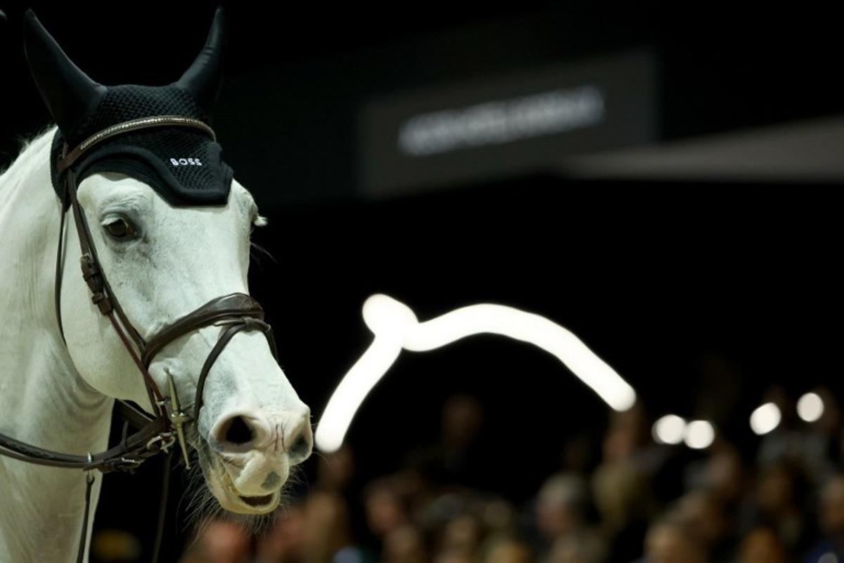 Horse Imagine is pictured in the FEI World Cup Jumping event at the Parc des Expositions in Bordeaux, south-western France, on February 8, 2025.  ROMAIN PERROCHEAU / AFP