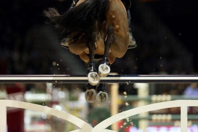 A horse jumps during the Longines FEI World Cup Jumping event on February 4, 2017 at the Parc des expositions, in Bordeaux, France.  ROMAIN PERROCHEAU / AFP