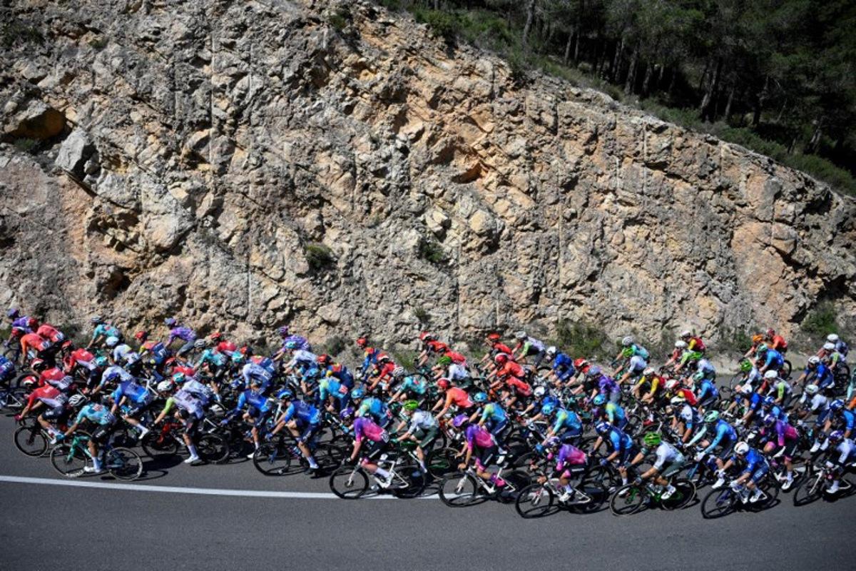 The pack rides near Mora d'Ebre during the 5th stage of the 2025 Volta a Catalunya cycling tour of Catalonia, a 172 km race between Pauls and Amposta, on March 28, 2025.   Josep LAGO / AFP