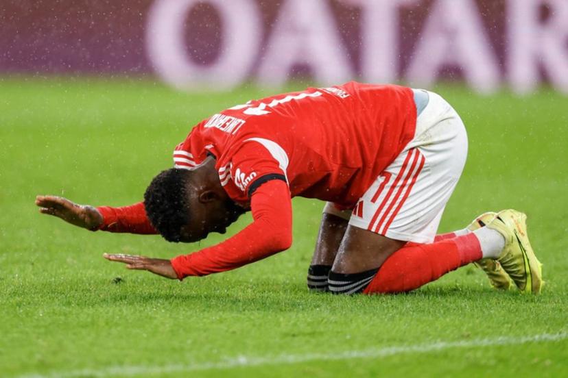 SL Benfica's Belgian forward #11 Dodi Lukebakio reacts after missing a chance to score during the UEFA Champions League league phase day 4 football match between SL Benfica and Bayer Leverkusen at Estadio da Luz in Lisbon on November 5, 2025.  FILIPE AMORIM / AFP