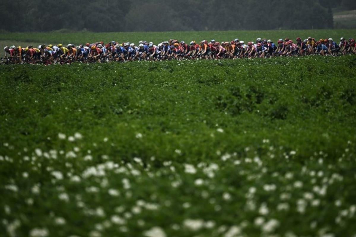The pack of riders (peloton) compete during the 4th stage (out of 8) of the third edition of the Women's Tour de France cycling race, a 122.7 km between Valkenburg and Liege, on August 14, 2024. JULIEN DE ROSA / AFP